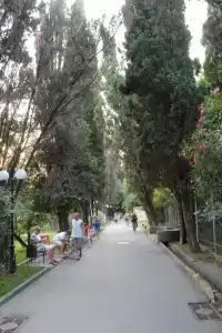 Хоста - 0