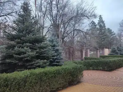 Династя - 4