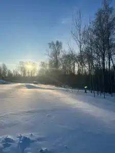 Ильинка лес - 88