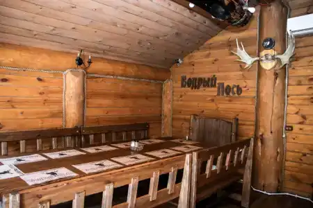 Бодрый Лось - 40