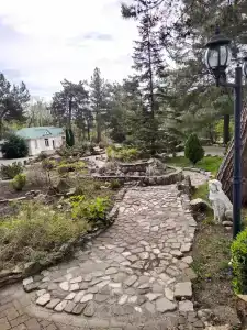 Сосновый - 23