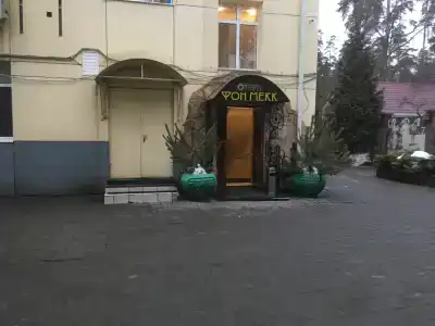 Фон Мекк - 11