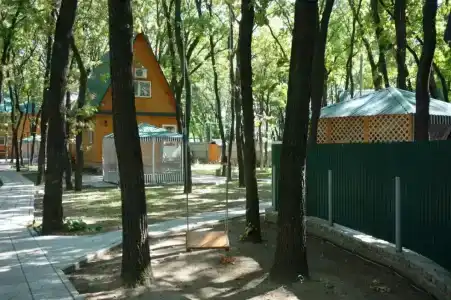Дубрава - 31