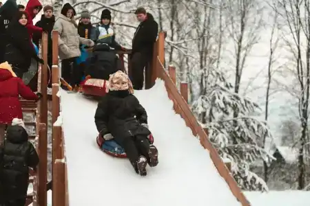 Полушкино - 51