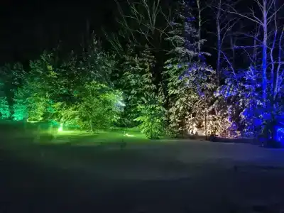 ForestHouse Лесной домик - 38