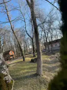 Комарово клуб - 44