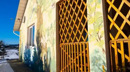 Лукоморье - 15