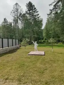 Спутник - 77