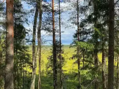 Шугайловские дворики - 9