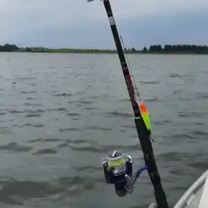 Соколино - 63