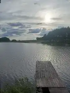 Золотая рыбка - 60