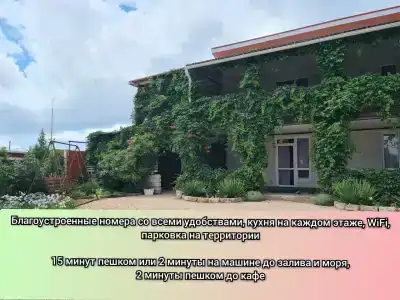 Курячи - 2