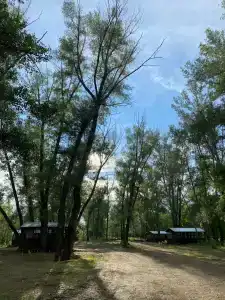 Стан - 33