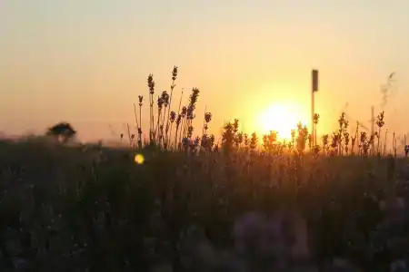 Солнышко - 67