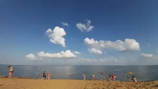 Причал 55 - 86