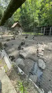 Простоквашино - 53