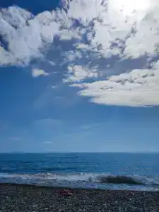 Рояль - 16