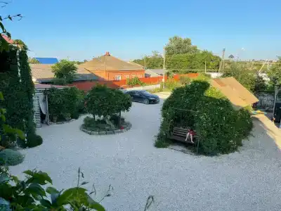 Курячи - 27