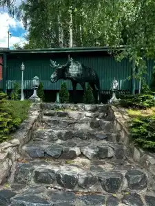 Подмосковье - 13