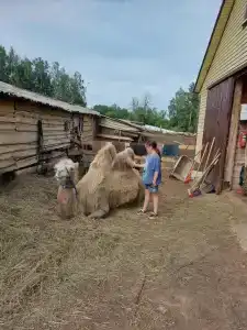 Гостевой дом на ферме - 3
