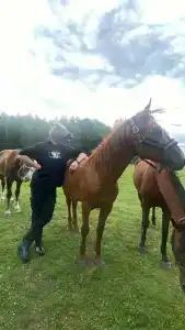 Бородино - 32