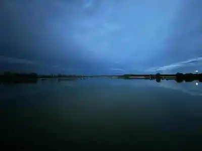 Белый лис - 10