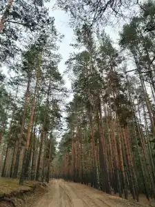 Голубой залив Электроприбор - 19