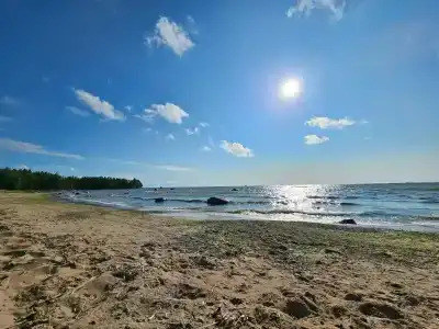 Белая чайка - 0