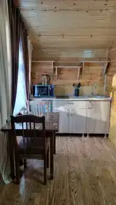 Сакура - 20