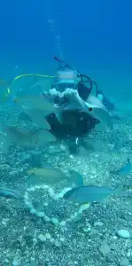 Sailor's Beach Club - 17