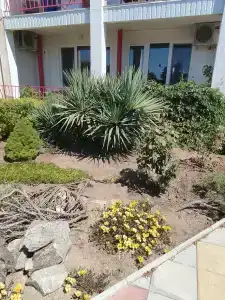 Пансионат Дельта - 95