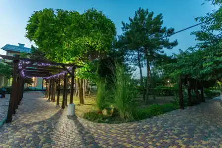 Романова - 66