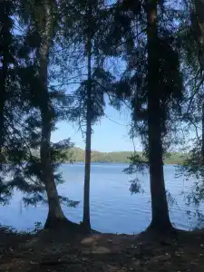 Конный Двор в Пржевальском - 61