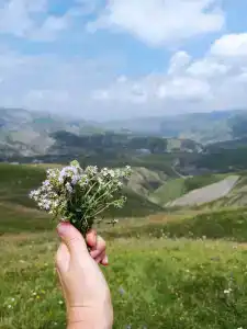 Гази-кумух - 19