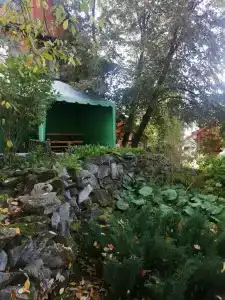 Иолго - 33