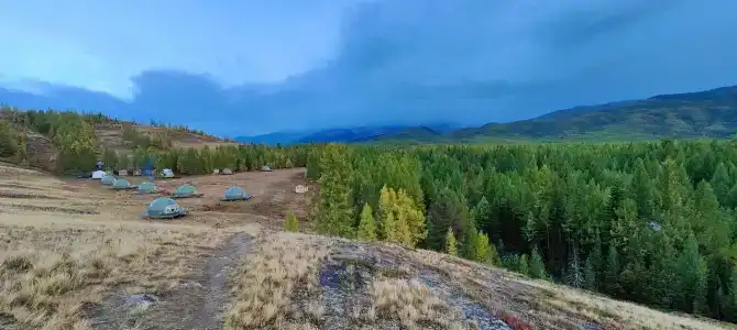 Мир Алтай - 85