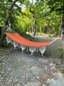 Можжевеловый Рай Глэмпинг Море - 5