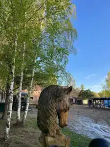 ХвояХутор - Казачий Курень - 57