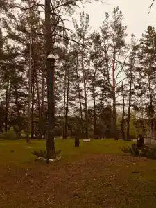 Песковатка - 31