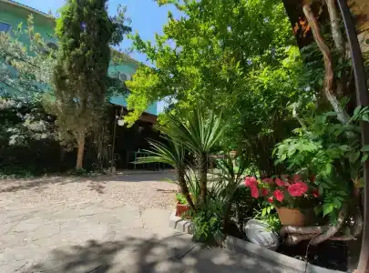 Баттерфляй - 16