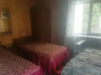 Старый Клен - 42