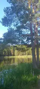 Чёрное озеро - 12