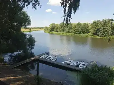 Сосны - 44
