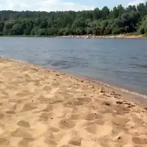 ГринЛандия - 14