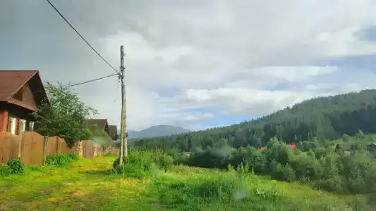 Тайга - 26