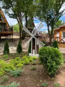 Богатый лес - 44