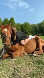 Бородино - 94