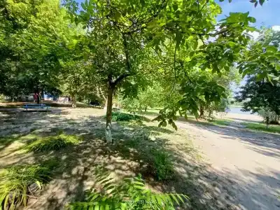 База отдыха электродного завода - 24