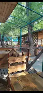 Березовые дали - 12