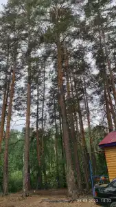 Тихая бухта - 9